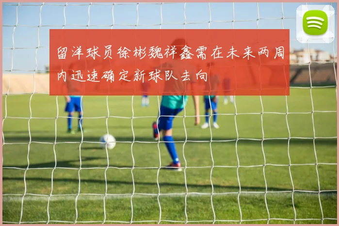 留洋球员徐彬魏祥鑫需在未来两周内迅速确定新球队去向
